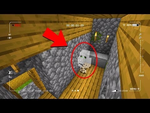 O1G - Using security cameras to catch ghost in Minecraft!