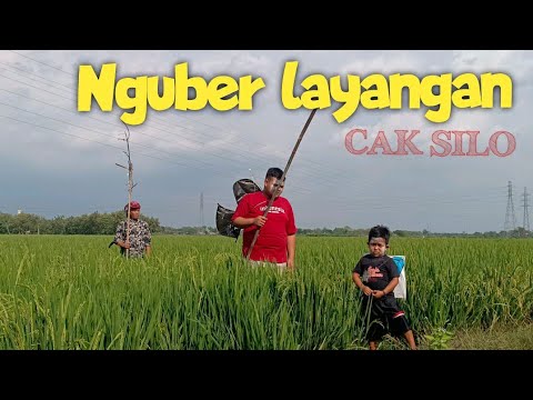 cak-silo-pemburu-layang-layang