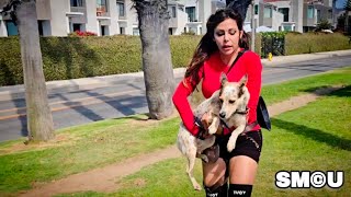 𝗗𝗢𝗚 𝗥𝗘𝗦𝗖𝗨𝗘 𝗨𝗣𝗗𝗔𝗧𝗘: Venice Healer Daisy Finds Forever Home for Gigi