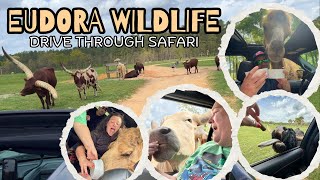 OUR 1ST TIME AT A DRIVE THROUGH SAFARI | FEED EXOTIC ANIMALS AT EUDORA WILDLIFE SAFARI PARK FROM CAR