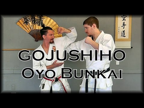 Waza Wednesday 11/30/16 - Gojushiho Oyo Bunkai - Rear Grab/Punch Defense