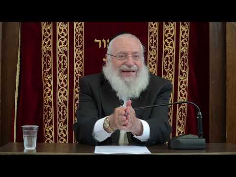 Halachos of Birchas HaTorah | Weekly Shiur by Rav Asher Weiss Shlit"a (5785)