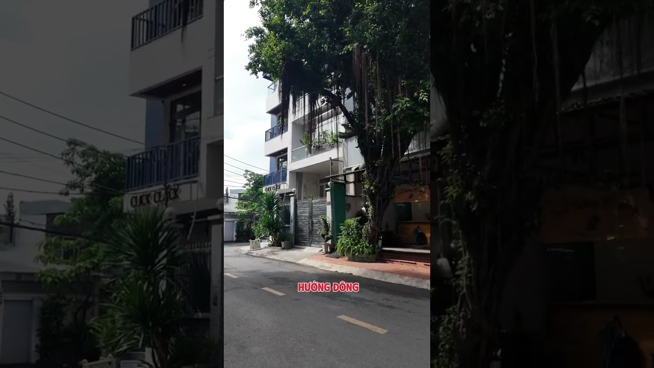 Ảnh đại diện Video