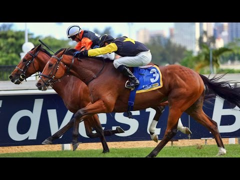 Double Clutch - umThombothi Stakes (2015)