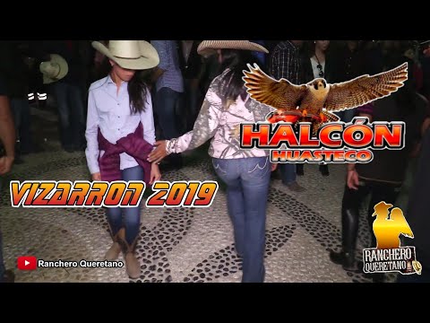 Halcon Huasteco - La Petenera