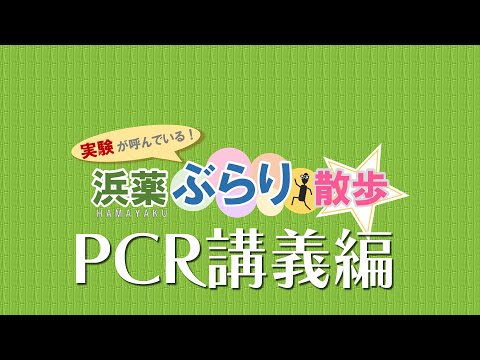 【横浜薬科大学】PCR講義編