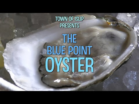 The Blue Point Oyster
