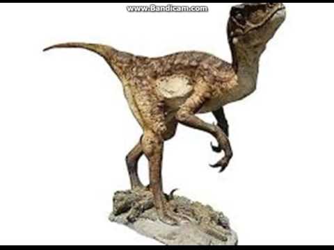 Deinonychus tribute