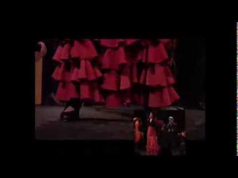 MANUEL DELGADO - guitare Flamenco -Teaser 2013