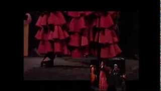 MANUEL DELGADO - guitare Flamenco -Teaser 2013