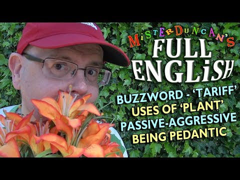 Full English Lesson (27) - What does Pedantic mean? / What is a tariff? / Uses of the word 'plant'