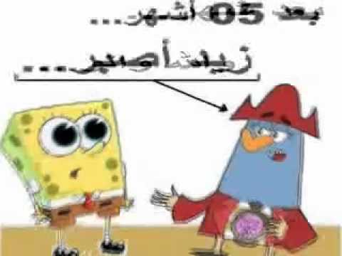 عقود ما قبل التشغيل و سنوات الشباب الضائعة