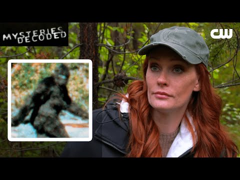Discover Insider Cw Secrets