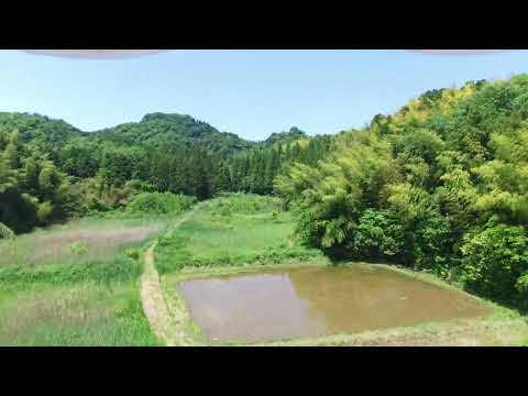 【ひこにゃん空中散歩】佐和山城大手口跡から本丸跡へ飛んでみた