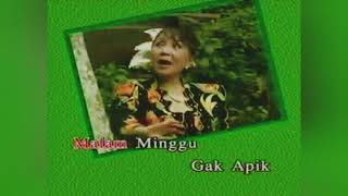 Download lagu SAKURA TENG - Rek Ayo Rek mp3