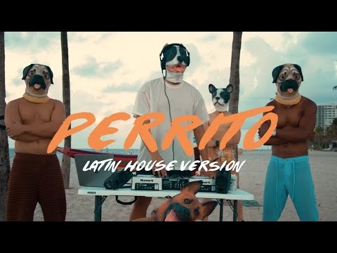 Steve Andreas, Brazil21 -Perrito  (Latin House Version) Visualizer in Miami [Afro/Tech]