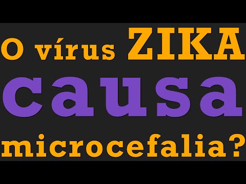 Será que é verdade? - O Vírus do Zika causa microcefalia?