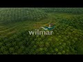 DBS Insights Food Agribusiness ESG Series Sustainable Supply Chain Wilmar