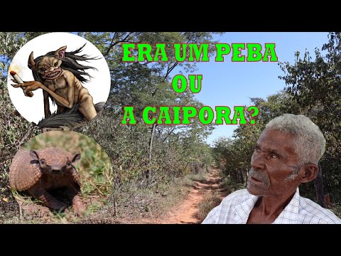 História de caçador - Tatú-peba ou bramura da caipora? #causos #caçadas #caipora
