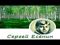 Сергей Есенин "Больные думы" 