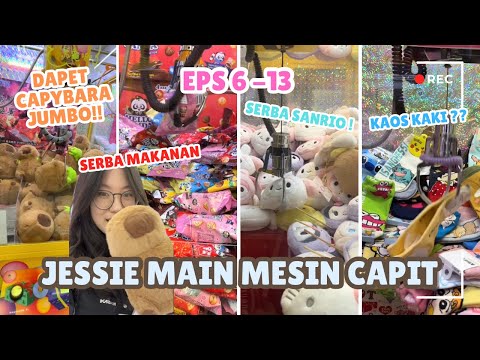 JESSIE PLAYS A UNIQUE CLAW MACHINE, WITH FOOD, JUMBO CAPYBARA, SANRIO, BRICKS, ETC.