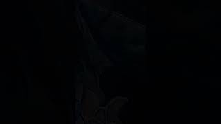 デビュー配信でチラ見せしていたオリジナル曲【オーロ・クロニー】#Shorts