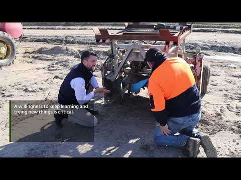 Integrated Weed Management case study: Schreurs & Sons, Part 1, innovation in IWM