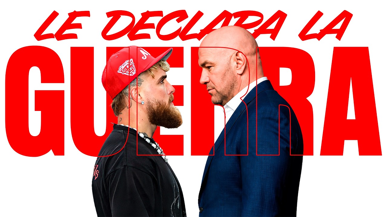 CON DATOS!!! JAKE PAUL y NETFLIX le DECLARAN la GUERRA a la UFC!!!