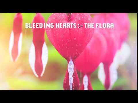 "Bleeding Hearts - The Flora" || Prajna Shetty