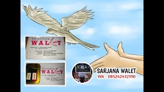 Download lagu đź”´Baru Sempat Kirim Paket SuaraNya Ke Sarawak Malaysia - Suara Burung Walet - Sound Switlet mp3 Download lagu đź”´Baru Sempat Kirim Paket SuaraNya Ke Sarawak Malaysia - Suara Burung Walet - Sound Switlet mp3