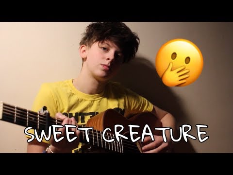 SWEET CREATURE- HARRY STYLES (SHORT COVER)  | NOAHFINNCE