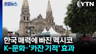"손흥민·K팝 사랑해요" 한국 매력에 빠진 멕시코 / YTN