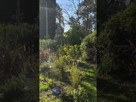 Video de YouTube - Casa en Alquiler de 2 dormitorios con Parrillero y Jardín en Pinar Sur, Canelones