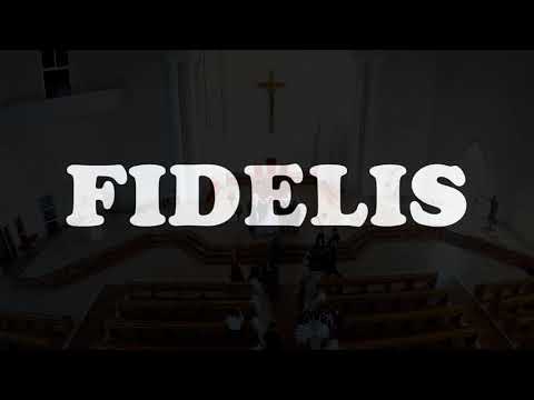 Fidelis - raznoliki repertoar na vjenčanju (7 pjesama - orgulje, klasika, šansone, pučke) - ZAPREŠIĆ