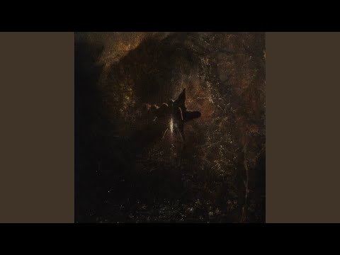 shadows in the glass