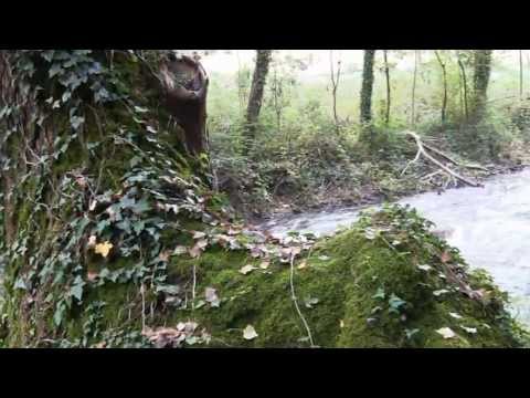 Scherzi del destino - Laura Moll (Booktrailer)