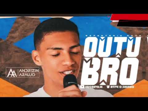 AMOR CONFIE EM MIM EU JURO NÃO VOU TE ILUDIR EU GOSTO DE VAQUEJADA - ANDREZIN PISEIRO TIKTOK