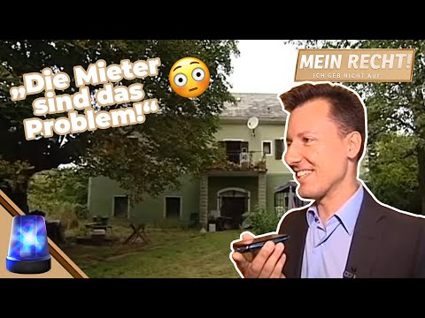 SCHIMMEL und BAULICHE MÄNGEL: Vermieterin stellt sich quer! 🏚️🙅| Mein Recht! Ich geb nicht auf | ATV