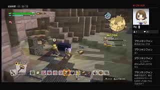 姉妹でDQB2に再挑戦！＃13