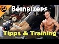 Beinbizeps training - Tipps & Ausführung - starke Beine