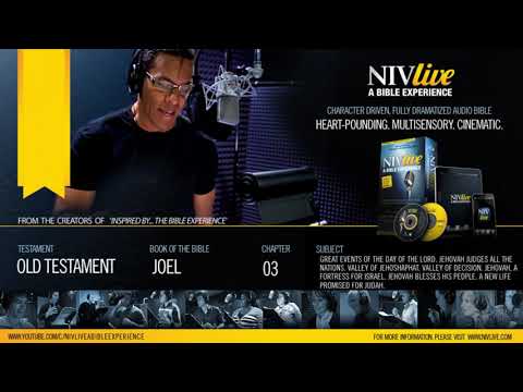 OT29 Joel   Chapter 3