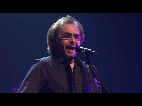 NIGHT FEVER - Christmas Gift Nr. 16  -  16.12.2021  **YOU SHOULD BE DANCING + ALONE**