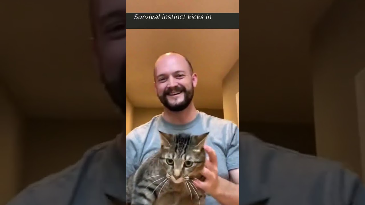 So Cute and So Real: Adorable Animals Caught on Camera