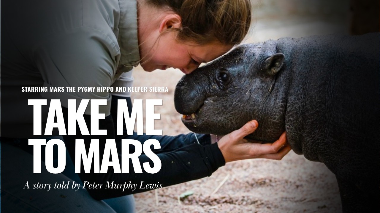 Take Me To Mars