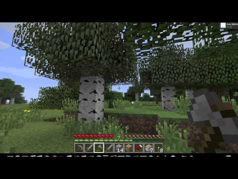 Survival With Sokos Episode 2