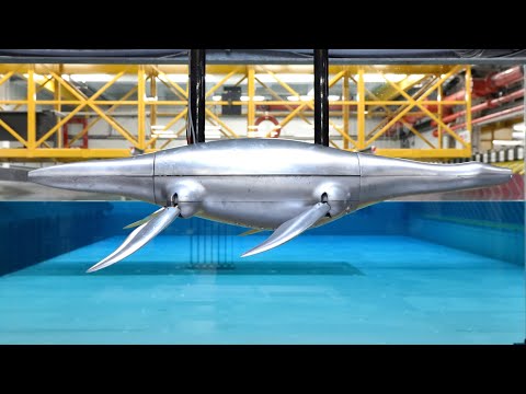 Introducing Flip: The World's First Scientifically-Accurate Plesiosaur Robot