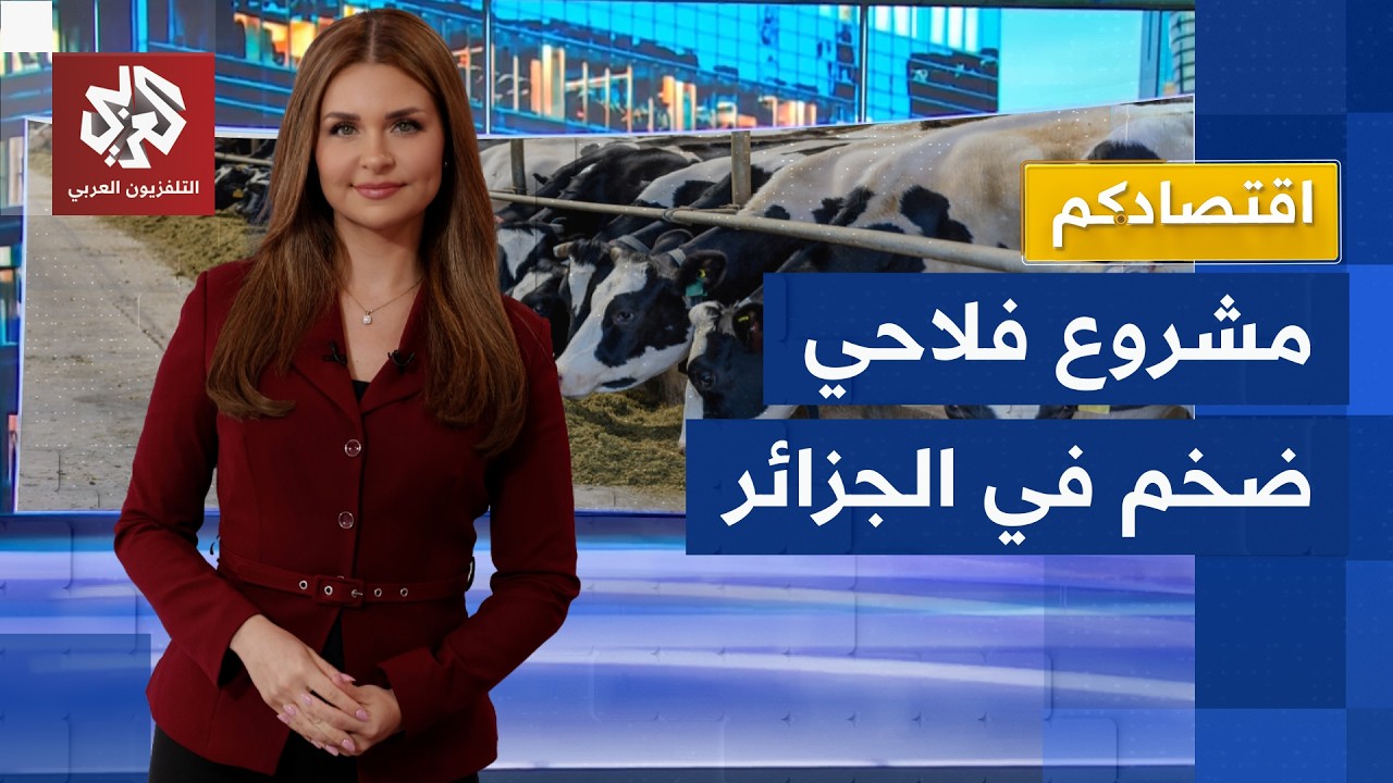 "بلدنا" القطرية في الجزائر تطلق الحزمة الثانية لمشروعها وتستورد أكثر من 30 ألف