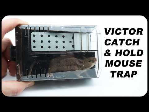 The Newly Redesigned Victor Catch & Hold Mouse Trap. Mousetrap Monday.