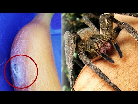 Leki potencji dla mężczyzn Impotencja na cukrzycę