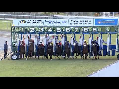 RM3 R8 | Duke's Domain | D.David